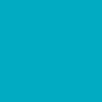 Краска глянцевая по стеклу и керамике под обжиг прозрачная Lefranc Bourgeois Glass Tile 150°С №050-турецкий голубой/б.50мл