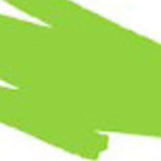 Кисть с краской Pentel Colour Brush для скетчинга, каллиграфии и манги/светло-зелёная