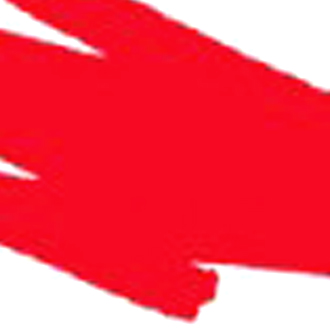 Сменный картридж для кисти с краской Pentel Colour Brush красный