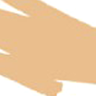 Сменный картридж для кисти с краской Pentel Colour Brush бежевый