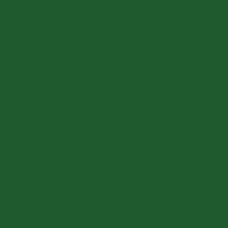 Аэрозоль Belton Premium Molotow- зелёный лист/б.400мл