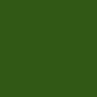 Аэрозоль Belton Premium Molotow- зелёный мох/б.400мл