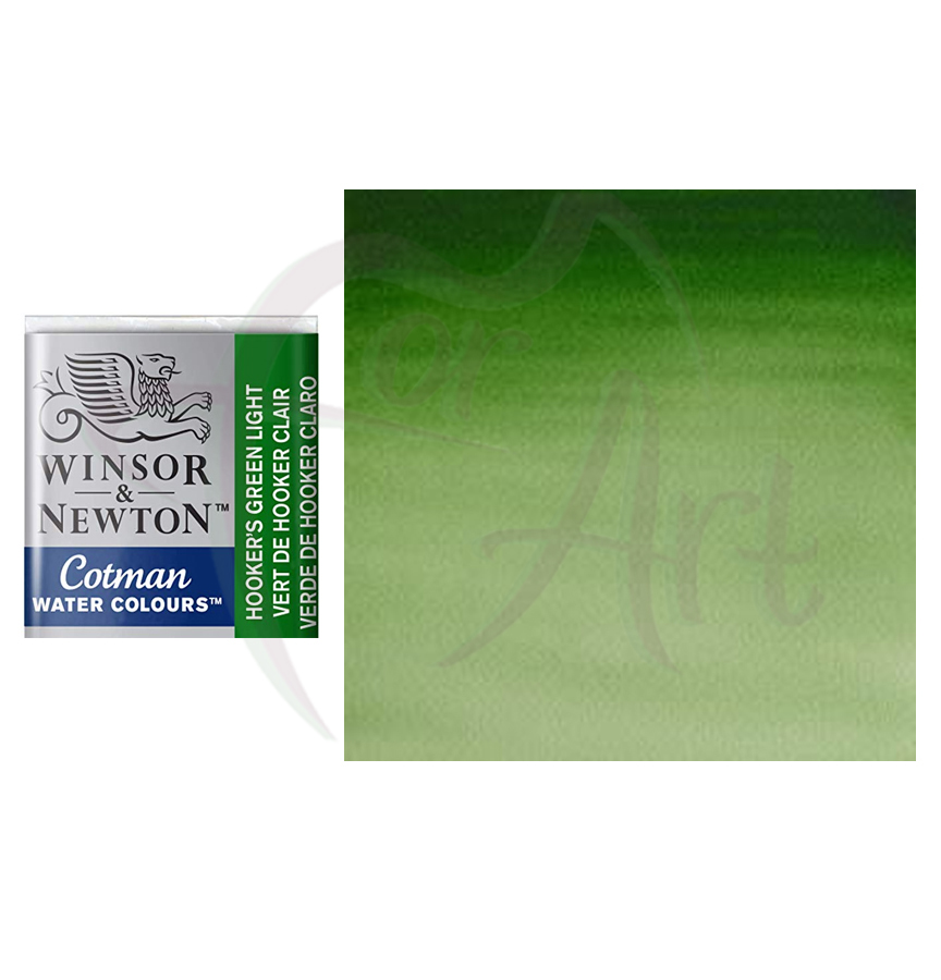 Акварель Cotman Winsor Newton - светло-зеленый Хукер