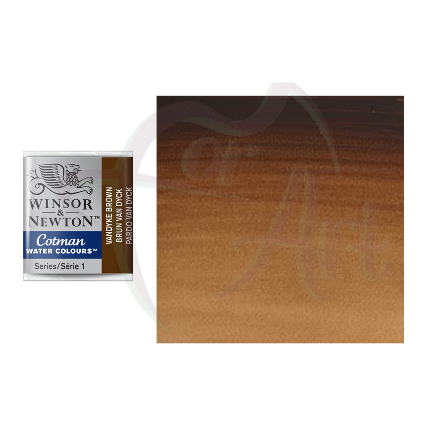 Акварель Cotman Winsor Newton - коричневый Ван Дик